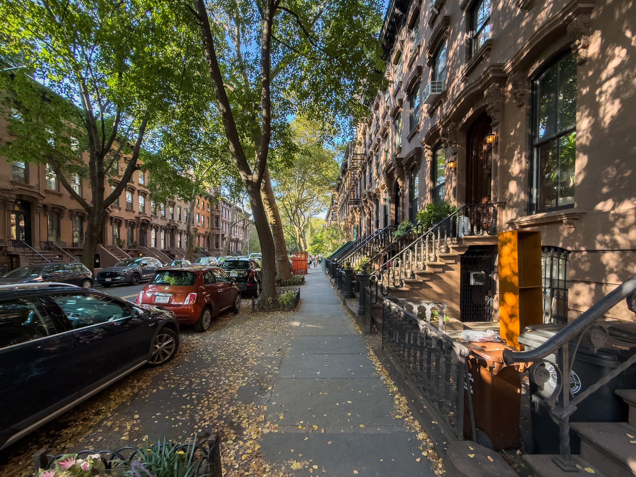 Historic Brownstone Triplex